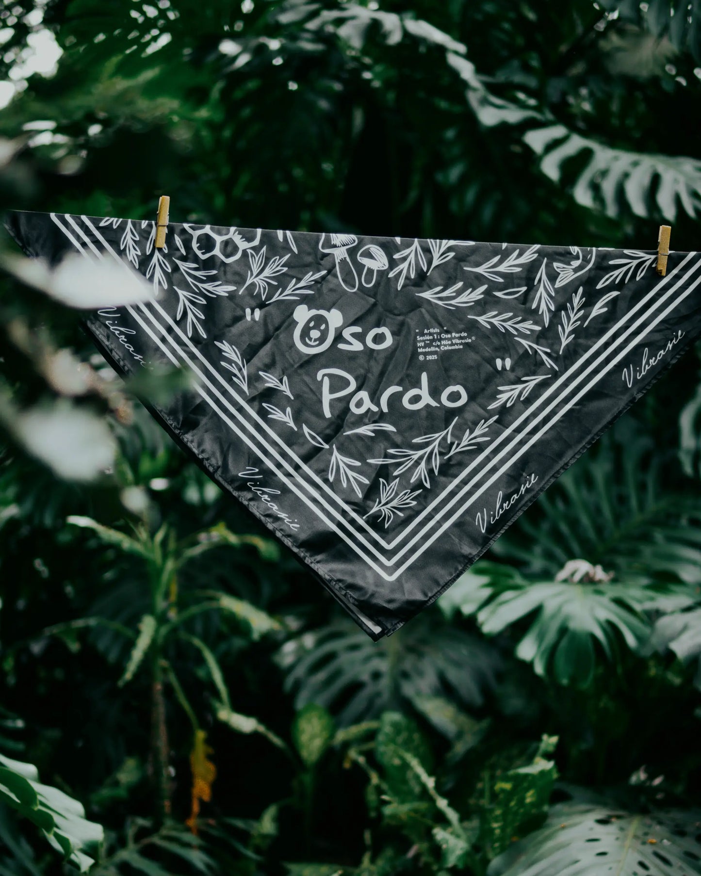 Oso Pardo Pañoleta