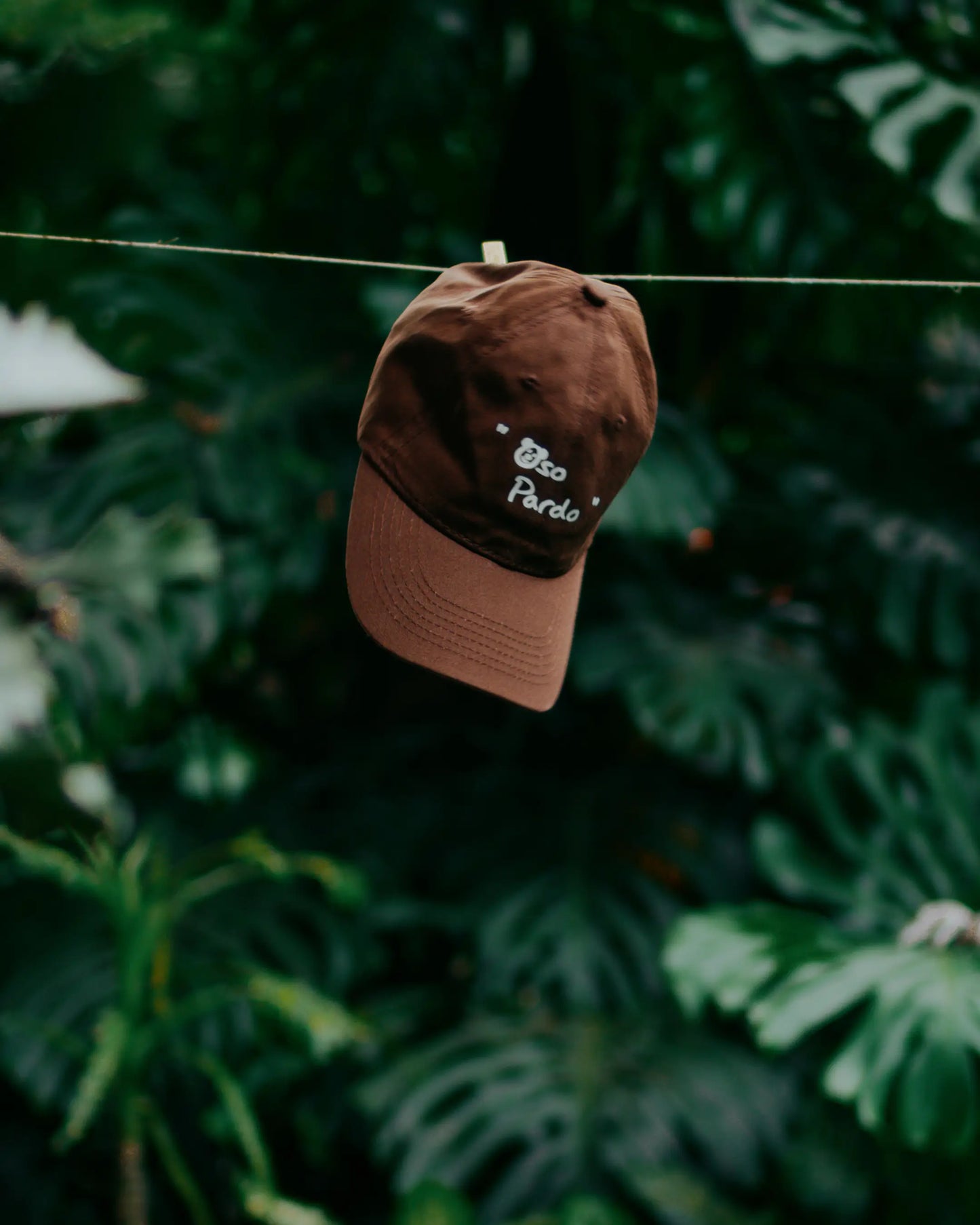 Gorra Oso Pardo