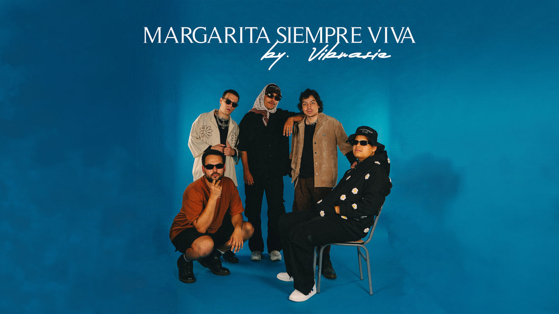 MSV 𝓫𝔂 𝓥𝓲𝓫𝓻𝓪𝓼𝓲𝓮