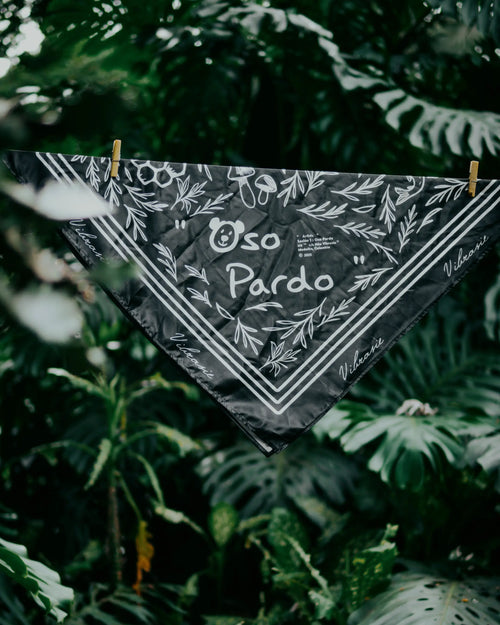 Oso Pardo Pañoleta