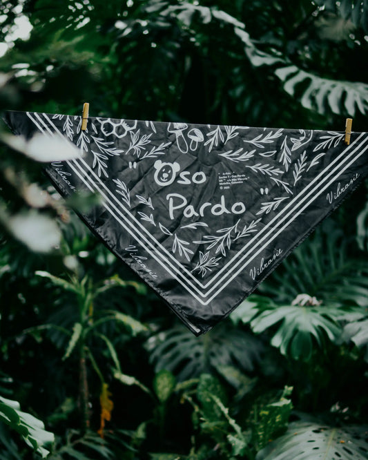 Oso Pardo Pañoleta